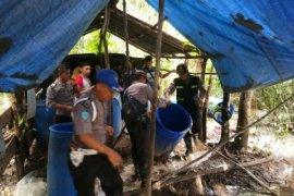 Polsek Meliau gerebek pabrik miras