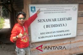 Pakan lele "senawar lestari" perlu diuji mutu