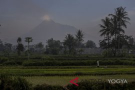 ERUPSI FREATIK MERAPI Page 1 Small