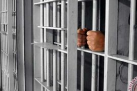 Bongkar Jaringan Pornografi Anak, 26.000 Polisi Brazil Amankan 132 Pria