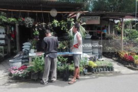 Asyiknya Ngabuburit di Pasar Bunga Madiun