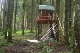 KBRI New Delhi sambut 70 tahun Indonesia-India