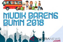 1.000 tiket mudik gratis Inalum-Pelni habis