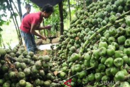 Pengrajin kolang kaling kebanjiran pesanan