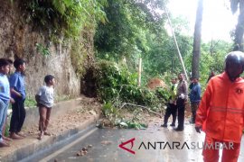 Jalan lintas nasional Aceh-Sumut lumpuh total