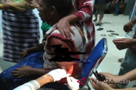 Pelaku pembakar rumah tewas di Aceh Selatan