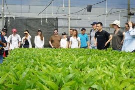 Mahasiswa Wharton School dan SMU Pelajari Praktik Sustainability APRIL