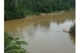 Walhi soroti pencemaran sungai Mertam