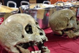 Australia serahkan tengkorak bersejarah pada Indonesia