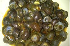 Kadinkes: Tutut positif mengandung bakteri