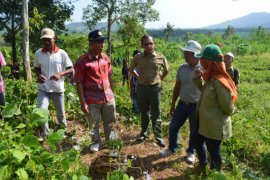 Dinilai Berhasil, Unej-TNMB Lanjutkan Kerja Sama Mitigasi Bencana Berbasis Lahan