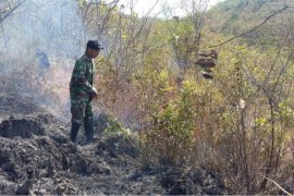 Hutan Perhutani di Sampung Ponorogo Terbakar