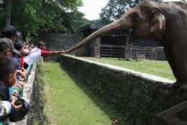 74.313 Orang Kunjungi Objek Wisata di Riau selama Lebaran, Tempat Mana yang Banyak Dikunjungi?