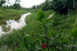 Pegiat: menyelamatkan sungai dengan beli jalur hijau