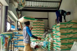 Harga Beras Kualitas Medium di Bojonegoro Turun