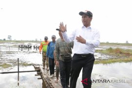 Mentan perintahkan 40 ekskavator "keroyok" Jejangkit