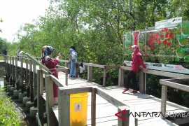 Pertamina Anggarkan Rp300 juta pengembangan tracking mangrove