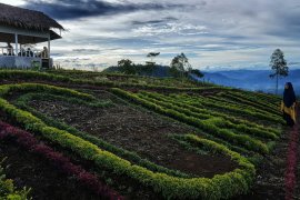 Promosikan pariwisata, Solok Selatan kemah bersama di Camintoran