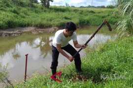 Jalur hijau sungai Karang Mumus ditanami pohon