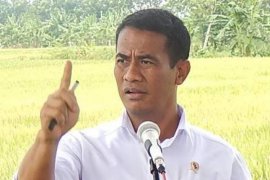 Manfaatkan teknologi, Mentan nyatakan produksi padi tak terganggu saat kemarau