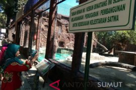 Demi kenyamanan pengunjung, Taman Hewan Pematang Sianta  benahi fasilitas