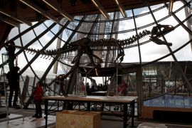 Kerangka dinosaurus misterius terjual 2,3 juta dolar di Paris