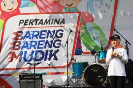 Ferdinand Hutahaean: Keputusan tepat, Nike tetap memimpin Pertamina