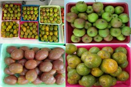 Be-Herb, bedak herbal jaga kualitas buah buatan anak IPB