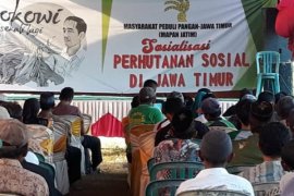 Mapan Bentuk Posko Perhutani Kenalkan Program Gus Ipul-Puti