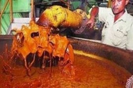 Dukung Kelancaran Suplai CPO, Pelindo Akan Tata Infrastruktur Pipa di Dumai