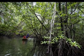 Pelindo 1 Benahi Pelabuhan Untuk Dongkrak Wisatawan