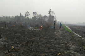 Kearifan lokal Dayak Ngaju dalam menyiapkan lahan patut ditiru