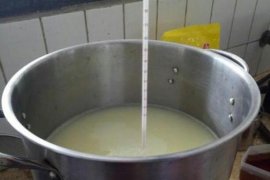 Peneliti IPB manfaatkan limbah keju untuk produksi minuman