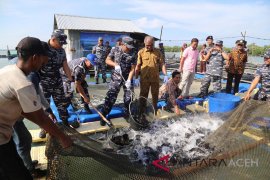 Kelompok budidaya kerapu panen raya