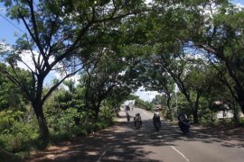 Tabalong forms a green revolution forum