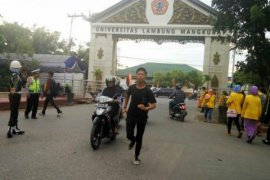 ULM jajaki peluang riset di Kabupaten Paser