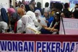  Jumlah Pencari Kerja Pekanbaru Meningkat