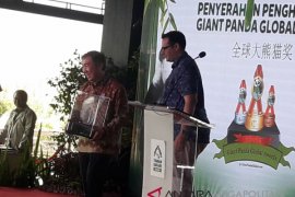 Panda jantan TSI Cisarua peroleh penghargaan terfavorit (Video)