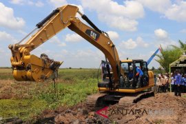 S Kalimantan succeeds in increasing lebak agriculture production