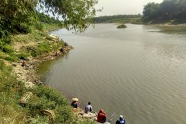 Pemancing Bengawan Solo Belum Pernah Peroleh Ikan "Aneh" (Video)