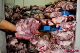 Kementan musnahkan daging celeng asal Palembang