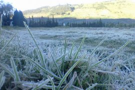 Fenomena embun upas di Dieng