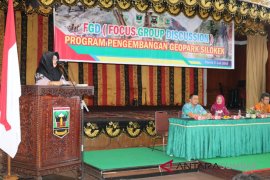 Sijunjung kembangkan pesona geologi di jalur patahan Sumatra