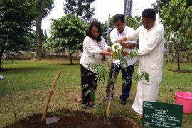 Kebun raya tambah koleksi dari Sri Lanka