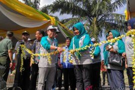 Bupati Batanghari buka Hari Krida pertanian Provinsi Jambi