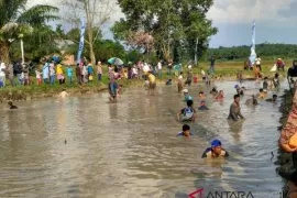 Batanghari Resmi Miliki Agrowisata Tanaman Langka Antara News Jambi