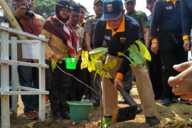PLT Gubernur dan para bupati tanam tanaman langka.