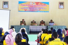 Mahasisa ULM KKN di Kecamatan Jejangkit