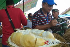 Ratusan peserta ikut kontes durian Sanggau