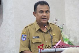 116 warga di Papua terjangkit demam berdarah